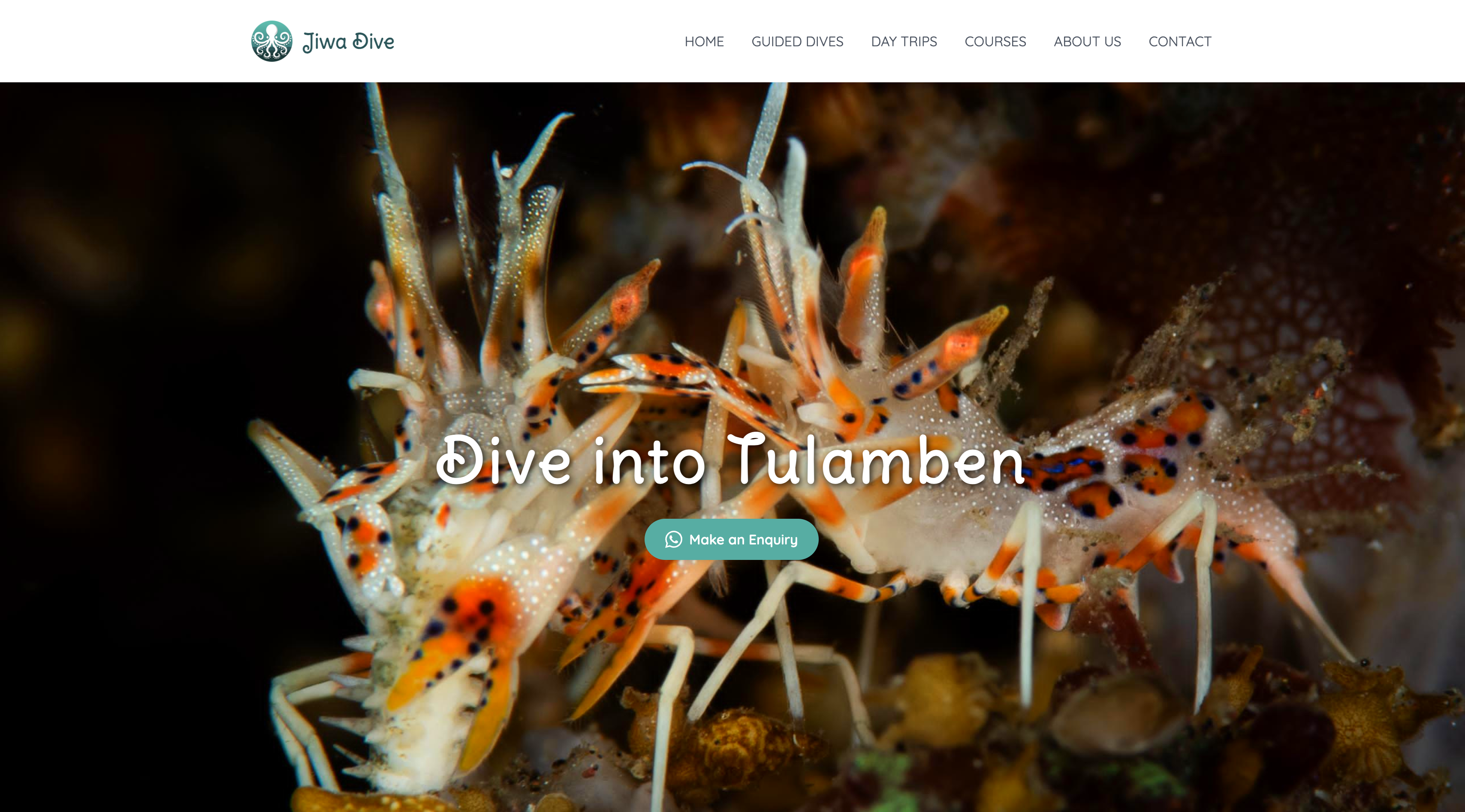 Diving & Travel Platform